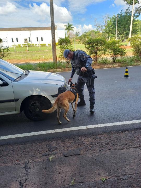 Foto 3 de 4 — PM aplica 32 autuações e apreende moto durante megaoperação de trânsito em Araraquara